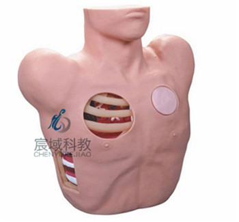 CY-L67  胸腔穿刺引流模型