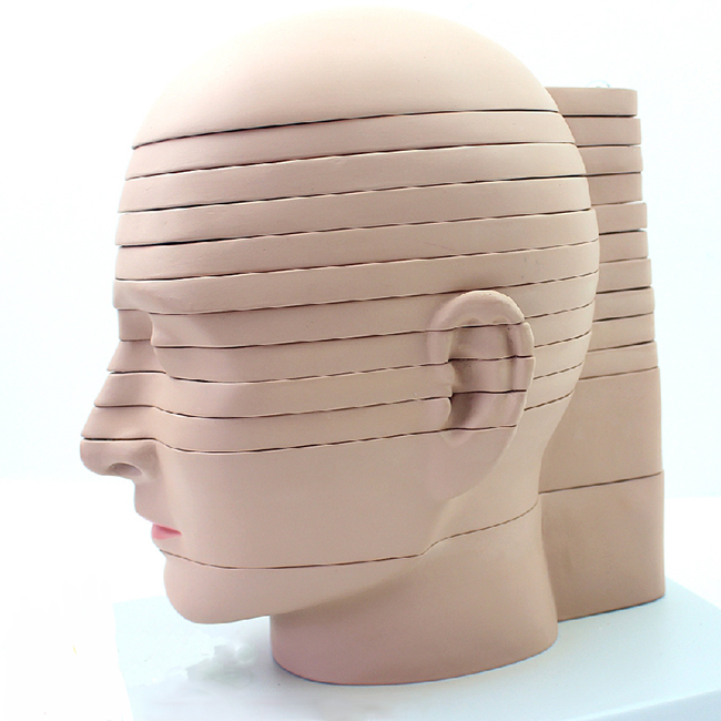 CY-A30001 人体头颈部断层解剖横切面模型