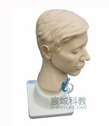 CY-LV40 高级耳部冲洗模型