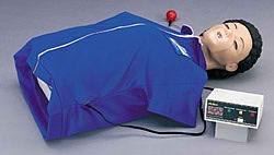 进口半身CPR模型人-美国纳斯LF03714U