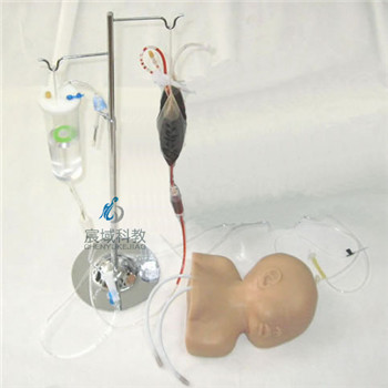 CY-HS6E 高级婴儿头皮静脉穿刺训练模型