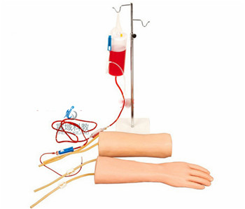 CY-HS42 手部、肘部组合式静脉输液（血）训练手臂