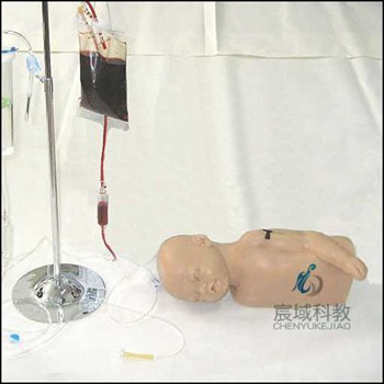 CY-S6-2 高级婴儿头部及手臂静脉注射训练模型