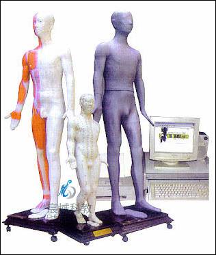 MAW-100E 多媒体针灸人体穴位发光模型