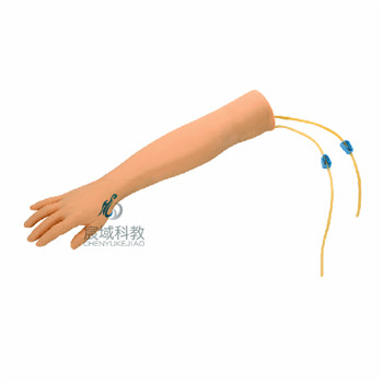 CY-HS1 高级静脉穿刺手臂训练模型