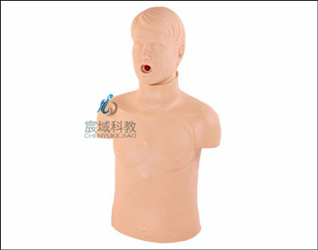 CY-CPR168 迷你心肺复苏模型