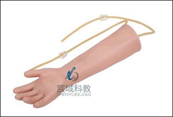 CY-HS8 高级儿童手臂静脉穿刺训练模型
