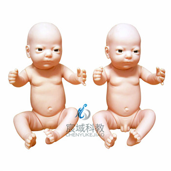 CY-FT4 高级出生婴儿模型(男婴、女婴任选)