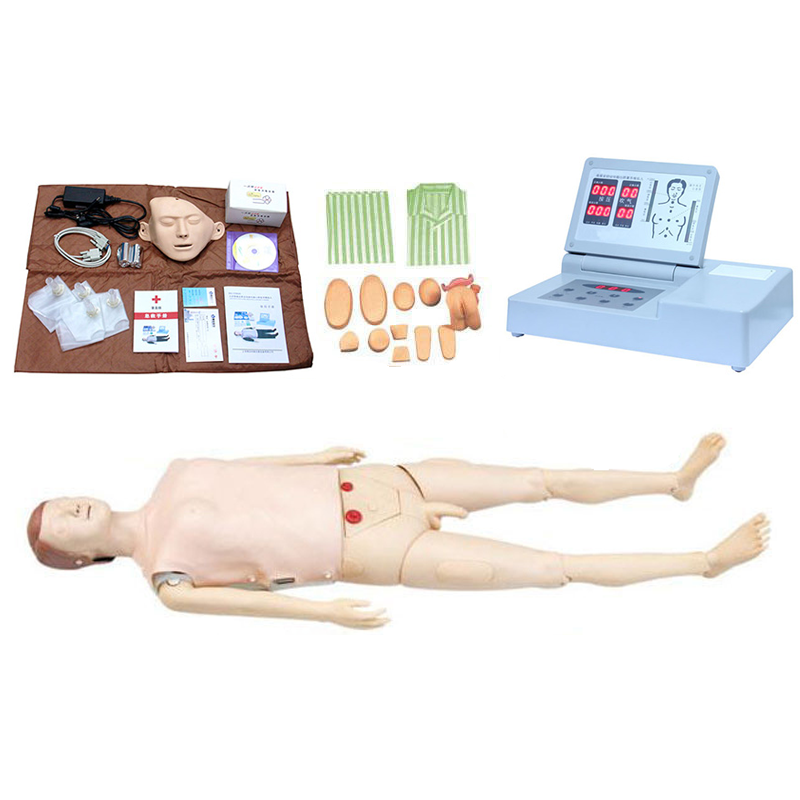 高级多功能护理急救训练模拟人（心肺复苏，基础护理男女导尿）CY-CPR490A