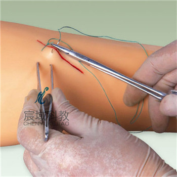 CY-LV1 高级外科缝合手臂模型