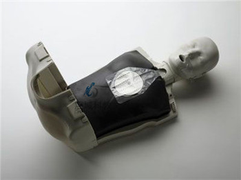 CY-CPR100B 简易版半身心肺复苏模拟人