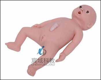 CY-FT13 高级婴儿护理模拟人