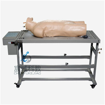CY-L260A 高级综合穿刺术与叩诊检查技能训练模拟人