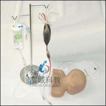 CY-HS6E 高级婴儿头皮静脉穿刺训练模型