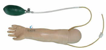 CY-HS37 高级婴儿动脉穿刺训练手臂
