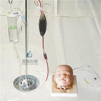 高级婴儿头部双侧静脉注射穿刺训练模型