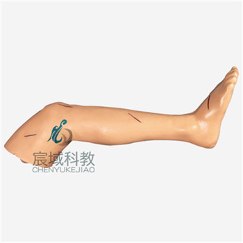 CY-LV2 高级外科缝合下肢模型