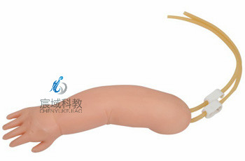CY-HS33 高级幼儿静脉穿刺手臂模型