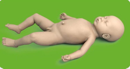 婴儿沐浴监测考核指导模型