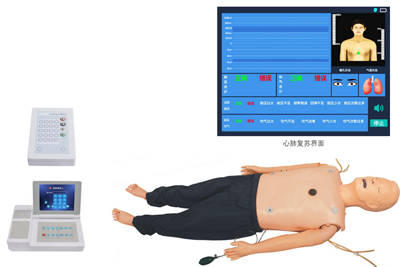 高级多功能成人综合急救训练模拟人(心肺复苏+气管插管+除颤起搏)