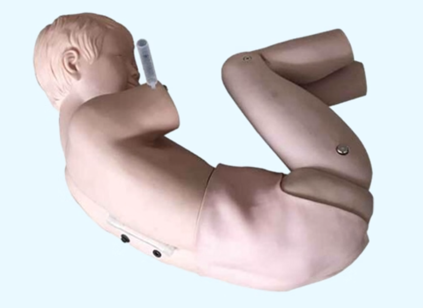 CY/L70X 小儿腰穿训练模型